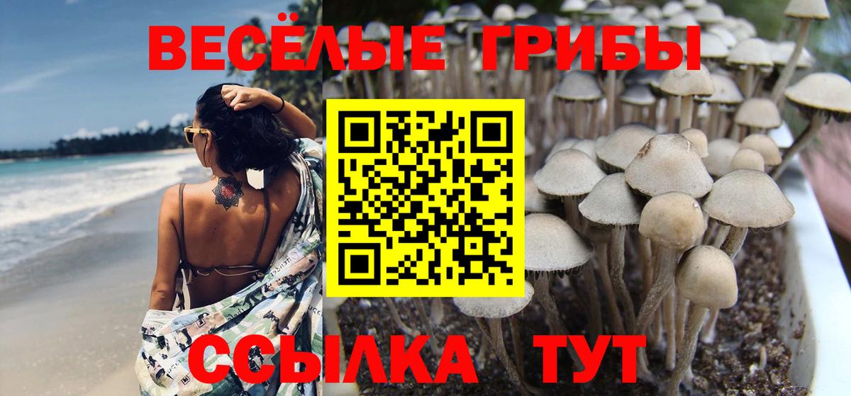 Галлюциногенные грибы мицелий  Вход с VPN  купить   Галлюциногенные грибы ЛСД  Павлово 