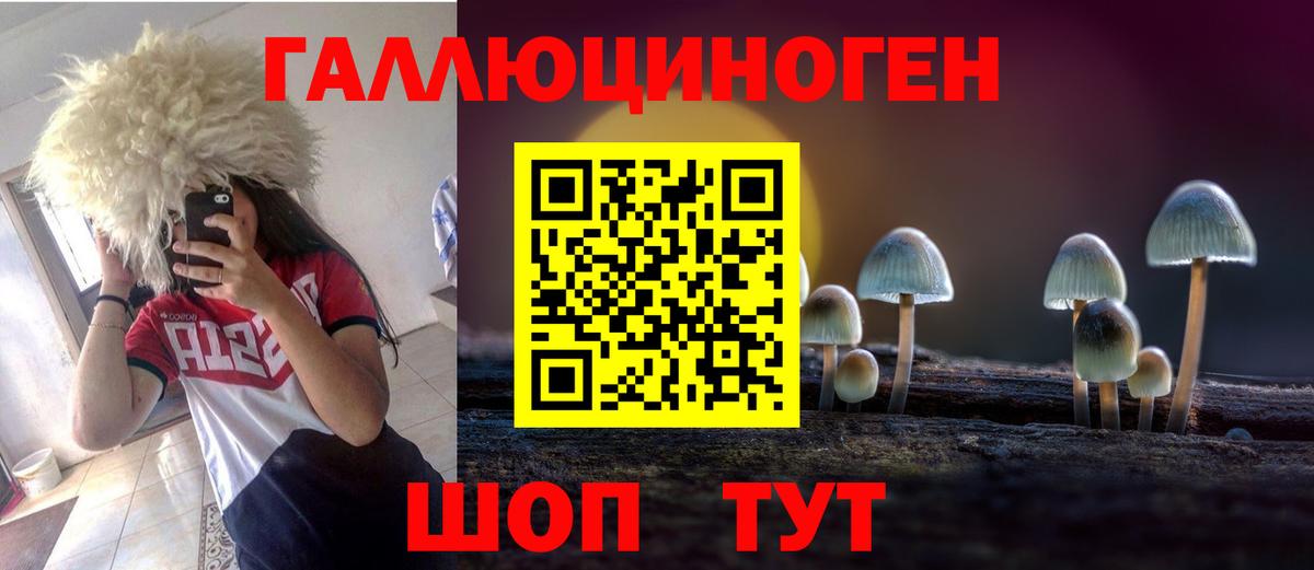 Псилоцибиновые грибы Psilocybe Павлово